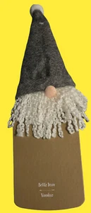 GNOME Botella Decoración Pier 1 Nuevo Juego de 2 NUEVO - Imagen 1 de 2