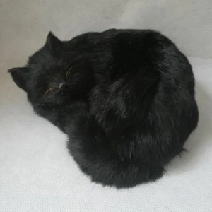 nuevo gato negro modelo polietileno y pieles muñeca gato dormido de la vida real unos 25 cm - Imagen 1 de 3