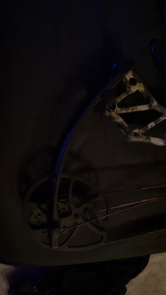 Bear Fusion estado quase perfeito 300 obo - Imagem 1 de 3