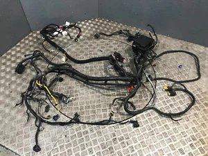LDV Maxus EV30 eDeliver 3 2019-on Scheinwerfer Kabel mit Sicherungskasten C003233391 - Bild 1 von 23