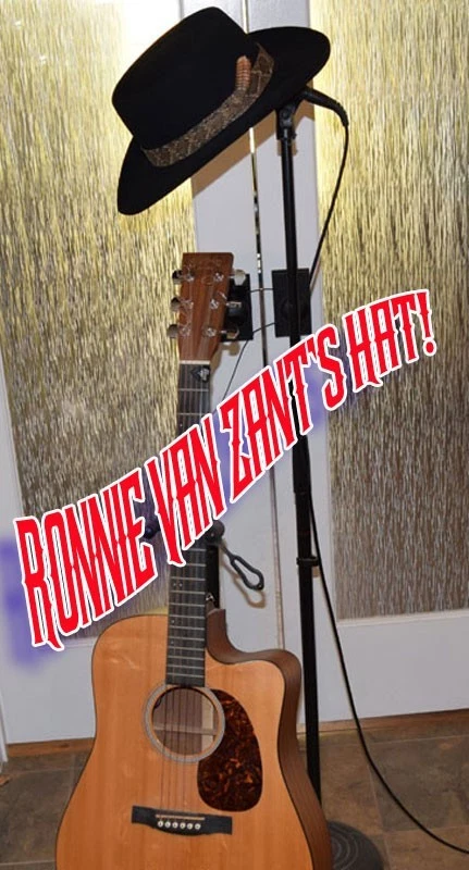 Chapéu Ronnie Van Zant* - Imagem 1 de 4