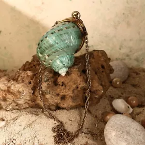 Real Green Turban Coin Shell Clutch Purse | Natural Turquoise Spiral Shell purse - Picture 1 of 12