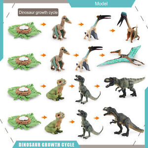 4pcs/set Dinosaur Figures High Simulation Early Education Dinosaur Life Cycle