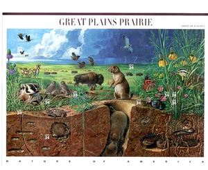 BRIEFMARKENBOGEN " GREAT PLAINS PRAIRIE , 34 CENT, 2000 ' SIEHE BILD - Bild 1 von 1