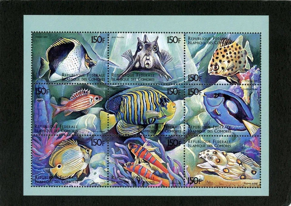 Comoro Is 1999 Marine Life Sht 9 как новая без наклеек и следов - Изображение 1 из 1