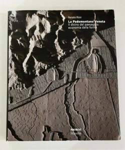 La Pedemontana Veneta. Il divino del paesaggio: economia della forma - Foto 1 di 5