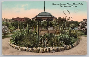 San Antonio TX Alamo Plaza Park, Mexican Cactus Texas Postcard 1910's - Picture 1 of 4