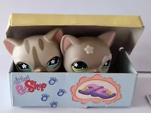 Lps Littlest Pet Shop cat #467 and #468 shorthair - Bild 1 von 9