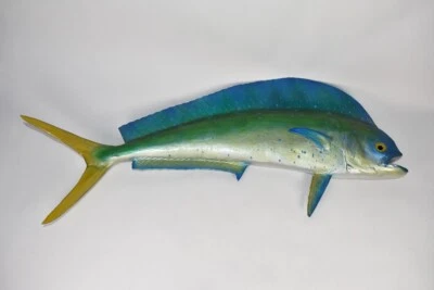 Vintage Pflueger Marine Taxidermia Mahi Dorado Peixe Raro Florida Store Display - Imagem 1 de 4