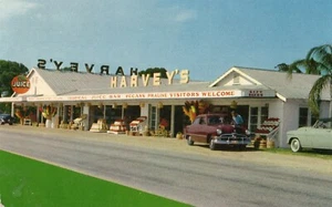 Tienda de cítricos Harvey's Groves en cacao FL ANTIGUO - Imagen 1 de 1