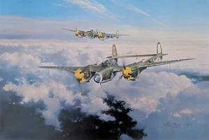 Lightning Strike by Robert Taylor aviation art signed by WWII P-38 Aces - Picture 1 of 3