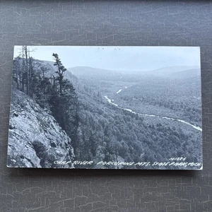 RPPC LANDSCAPE POSTCARD Carp River Porcupine Mts State Park MI birds eye view - Picture 1 of 4