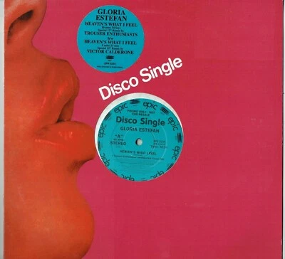 GLORIA ESTEFAN - 12" - Heaven's What I Feel (2 Track Promo) Epic  UK Foto 1 de 3