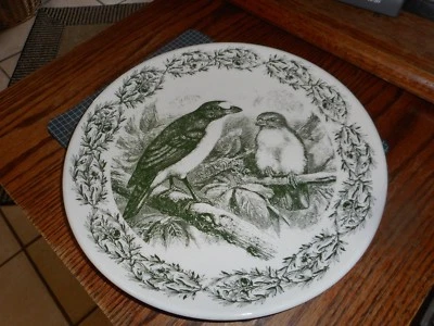 Декоративная зеленая обеденная тарелка Creative Co-Op Wild Life BIRDS 11 дюймов НОВАЯ - Изображение 1 из 2