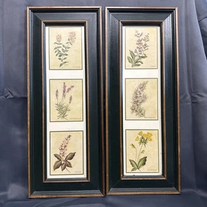 Set di (2) - Cornice verde abbinata - Stampe di erbe trittico - 21” x 8 1/4” - Foto 1 di 10