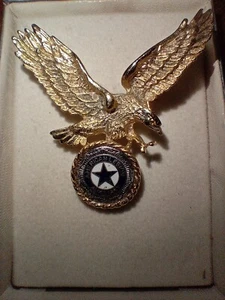 PIN BROCHE TONO DORADO Pin Águila con Emblema Auxiliar - Imagen 1 de 4