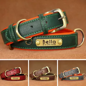 Personalisiert Hundehalsband Weiches Leder mit Namen Gravur Verstellbar XS-XL - Bild 1 von 68