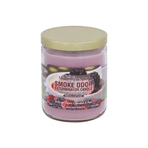 Smoke Odor Exterminator Candle Glass Jar 13oz Mulberry & Spice - Picture 1 of 2