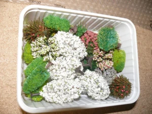 H39 para Märklin Miniclub Busch Heki o.a. Lote aprox 25 árboles con flores Sp Z - Imagen 1 de 2