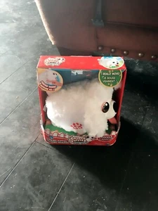Paffuti cuccioli barboncino goffo - Foto 1 di 1