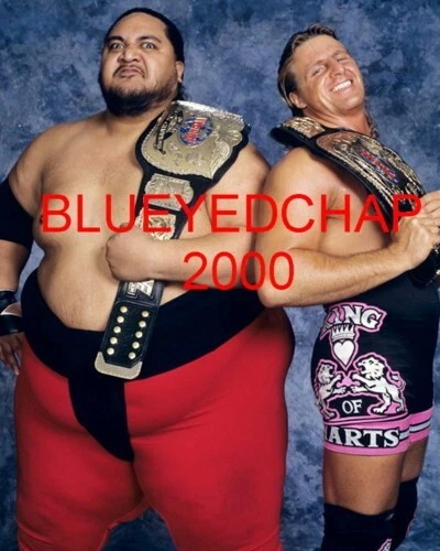FOTO DE LUCHA LIBRE OWEN HART & YOKOZUNA 8 X 10 WWF Foto 1 de 1