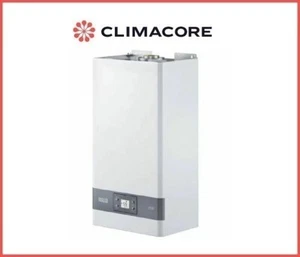 SCALDABAGNO A GAS RIELLO CAMERA STAGNA MINI 17 LT LN METANO - GPL - Foto 1 di 1
