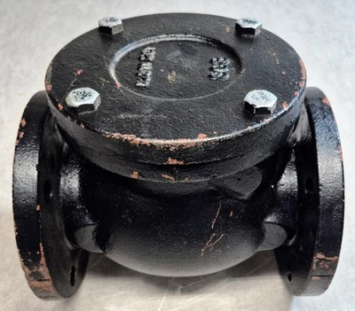 FNW 3 in. Flat Faced Flanged Cast Iron Swing Check Valve 125S 200 WOG - Image 1 of 4