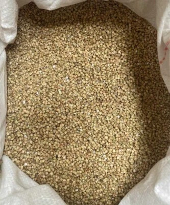 Buchweizen ungeröstet aus Polen-1A, Bio-Qualität ab 500g bis 100kg - Bild 1 von 4