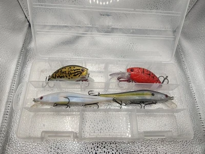 Kit de pesca Livingston Lures Jerkbait y Crankbait señuelos de pesca Foto 1 de 3