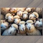 Carte postale mouton selfie drôle mouton prenant un selfie à la ferme hilarant