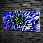 Wandbild aus Plexiglas® Druck auf Acryl 100x50 Blumen & Pflanzen Aster