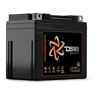 DS18 INF-YTX12-BS INFINITE 12 AH 450 Watts AGM Power Cell 12 Volt Battery - Picture 1 of 7