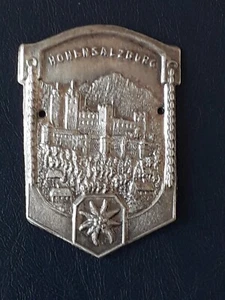 Alter Stocknagel - Stockemblem Österreich Hohen Salzburg Edelweiss - Bild 1 von 1