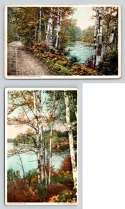 Erinnerungen an Ferienland weiße Birken - Lot von 2 Postkarten - Bild 1 von 2