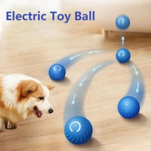 USB Rechargeable Self-moving Balls Bouncing Rolling Electric Dog Ball Pet - Picture 1 of 9