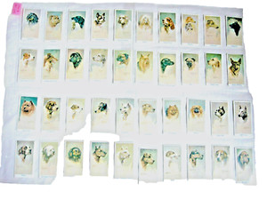 MOUSTAFA CIGARETTE CARD SET - LEO CHAMBERS DOGS HEADS 1924 - FULL SET - EX/CON.