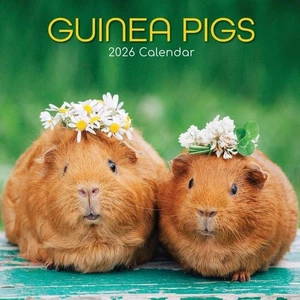 CONEJILLOS DE INDIAS - CALENDARIO DE PARED 2026 - NUEVO - 223849 - Imagen 1 de 2