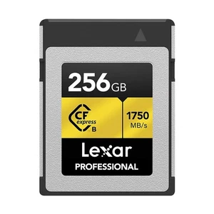 Scheda professionale CFexpress 256 GB Type-B (LCFX10-256CRBNA) - Foto 1 di 5