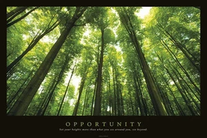 INSPIRATIONAL POSTER Opportunity - Picture 1 of 1