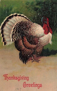 POSTAL DE ACCIÓN DE GRACIAS PFB DE COLECCIÓN BIG TOM TURKEY 1907 100923 S - Imagen 1 de 2