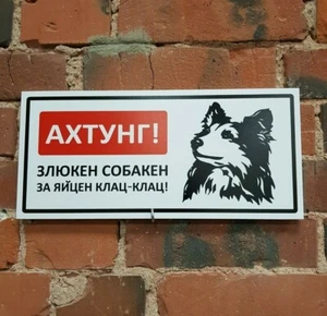 Funny WARNING DANGER SIGN - ANGRY DOG WILL RIP YOUR BALLS OFF! SHELTIE RU/DE - Picture 1 of 1