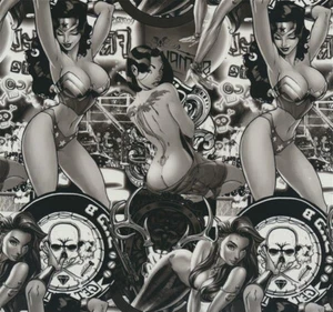 Wassertransferdruck Folie Film WTD Hydrograpic Pin-up 2 m x 100 cm Breite Hydro - Bild 1 von 6