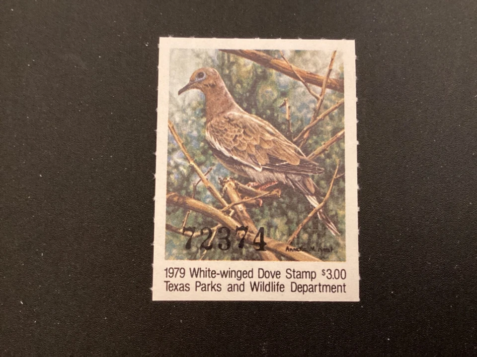 ICOLLECTZONE US Texas 1979 White Winged Dove Hunting VF NH birds - Image 1 of 2