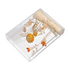 Acrylic Flower Display Case Flower Storage Container Showcases Artistic Side