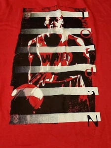 Vintage Nike Air Jordan Tee XXL Jordan XI 1995 Michael Jordan Chicago Bulls 90s - Picture 1 of 12