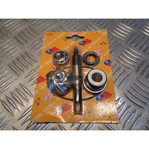 kit pompe a eau scooter honda 125 150 sh dylan pantheon s-wing arobase ps ... - Imagen 1 de 5
