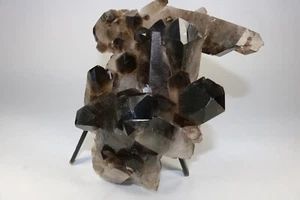 Huge Smoky Quartz Crystal Cluster Points 6+ Lbs! US Seller! Free Ship! - Picture 1 of 11