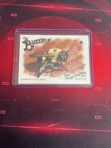 2024 Topps Allen & Ginter BUZ-4 Carpenter Bee Buzzin Insert Baseball Card - Picture 1 of 2