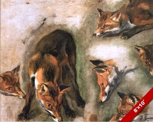 ARTISTS STUDY OF THE RED FOX FACE STYLE PAINTING ANIMAL ART REAL CANVAS PRINT - Picture 1 of 1