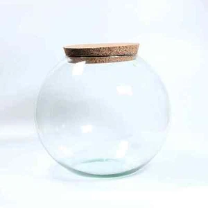 Large Globe Terrarium Glass Container 25cm Closed Terrariums Jar With Lid - Picture 1 of 3